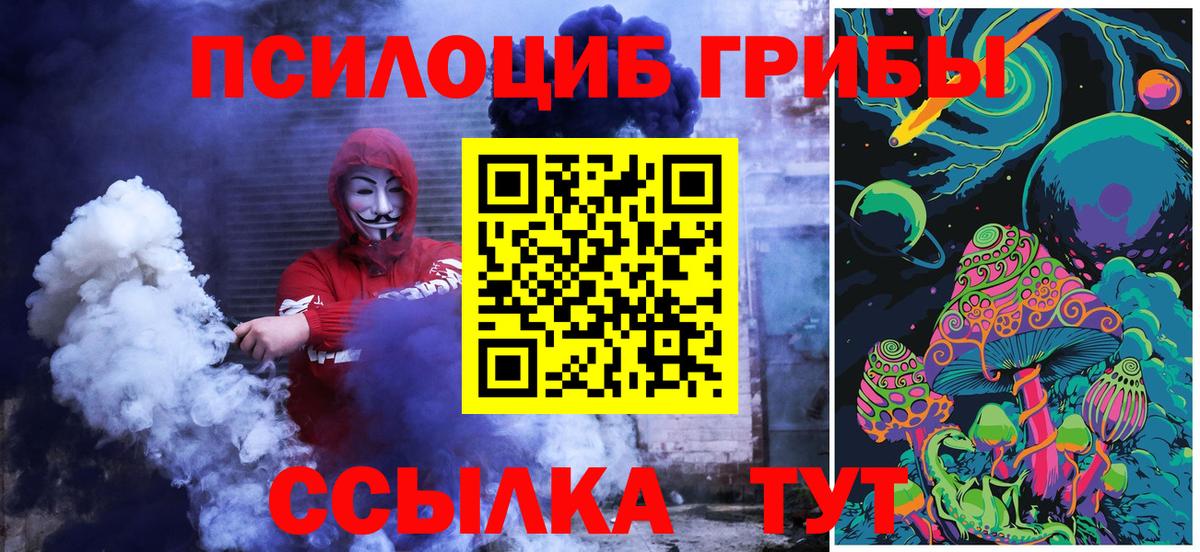 Соликамск  Галлюциногенные грибы Psilocybine cubensis  Вход с VPN  Псилоцибиновые грибы Psilocybe 